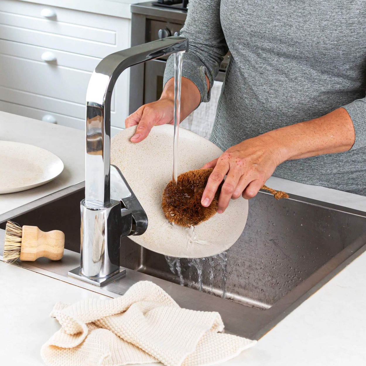 Dish Scrubber (hand held)